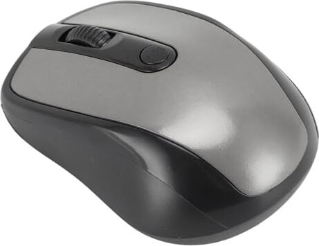 Bewinner Mouse Wireless 2.4G, Mouse Ottico Wireless Ergonomico Professionale Ad Alta sensibilità con Trasmissione Dati Ad Alta velocità, Prestazioni di Lavoro Portatili Ed Efficienti per