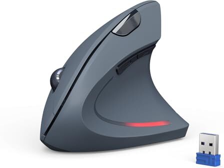 TECKNET Mouse Verticale, 4800 DPI Mouse Wireless Ergonomico, Protegge Il Braccio, Mouse Senza Fili 6 Pulsanti per PC, Computer Portatile, Mac, Grigio