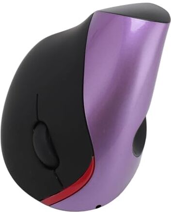 Bewinner Mouse Wireless Ergonomico, Mouse Verticale Ricaricabile per Mano Destra con 3 Livelli DPI Regolabili 800, 1200, 1600, 3 Pulsanti 5, Compatibile con PC, Laptop, Tablet (PURPLE)