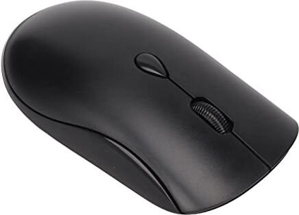 Bewinner Mouse Wireless, Mouse Ottico Ergonomico 1600 DPI, 2,4 G con Ricevitore Nano USB, Mouse per Computer Bluetooth Ricaricabili per PC Desktop da Ufficio (Nero)