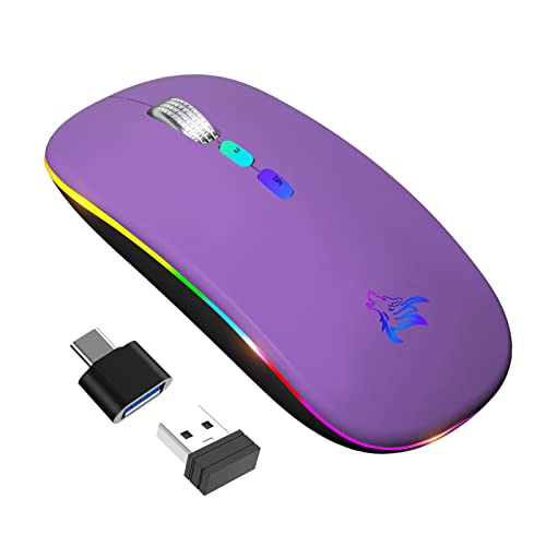 KBCASE Mouse Senza Fili Bluetooth, Wireless Ricaricabile RGB Mouse, Due Modalità (Bluetooth 5.1+2.4G) Mouse con Ricevitore USB e Tipo-C per Windows/Andriod/iPad/PC/Laptop/Computer/MacBook