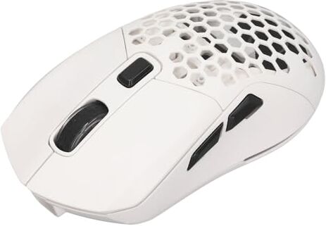 Bewinner Mouse Wireless, Mouse Ottico Ergonomico BT5.1 2.4G con Ricevitore Nano USB, Mouse da Gioco per PC 4800 DPI, Mouse per Computer Retroilluminato RGB per Laptop, PC (White)