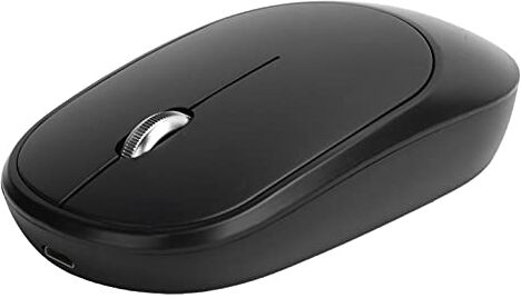 Bewinner Dilwe Mouse Wireless 2.4G, Mouse per Computer Ricaricabile con Ricevitore USB, 3 Livelli DPI Regolabili, Mouse Ottico Wireless per Laptop/PC/Win (#3)