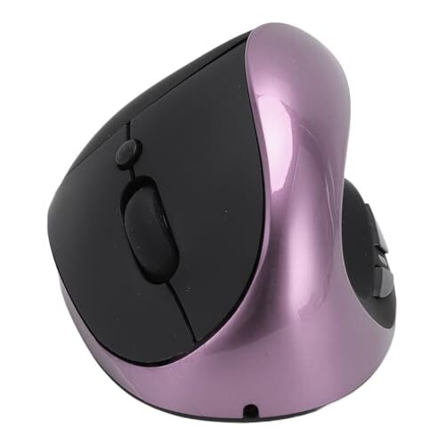 Bewinner Mouse Wireless SCIENTIFICO ERGONOMICO, Mouse Verticale Destro Ricaricabile con Livelli 800 1200 1600 DPI, Ricaricabile Tramite USB per PC, Laptop, Tablet (PURPLE)