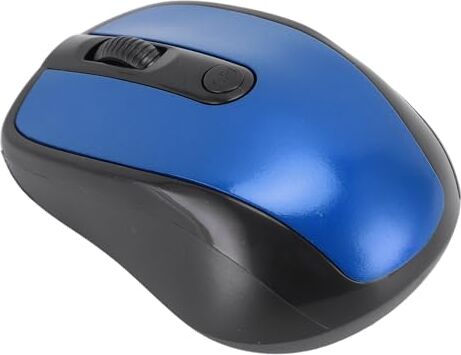 Bewinner Mouse Wireless 2.4G, Mouse Ottico Wireless Ergonomico Professionale Ad Alta sensibilità con Trasmissione Dati Ad Alta velocità, Prestazioni di Lavoro Portatili Ed Efficienti per