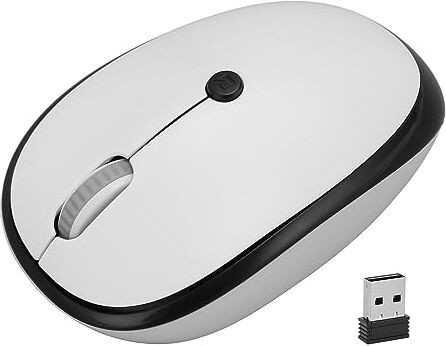 Bewinner Mouse Wireless, Mouse Ottico Ergonomico 2.4G, Mouse per Computer Portatile, PC, Computer, Mouse da Ufficio Alimentato a Batteria AA da 1600 DPI per Viaggi di caffè Scolastici per