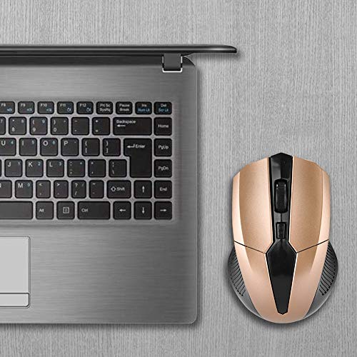 Bewinner Mouse Ottico Wireless, Mouse Wireless 2.4G Ottici Portatili DPI Regolabile/6 Pulsanti/Design Ergonomico/Nessun Rumore per Notebook, Laptop, Computer, PC,