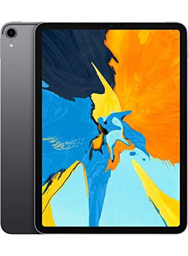 Apple iPad Pro 11 1 TB 4G Grigio Siderale Sbloccato (Ricondizionato)
