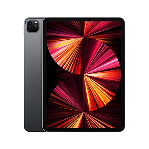 Apple 2021  iPad Pro (11-pollici, Wi-Fi, 1TB) Grigio Siderale (Ricondizionato)