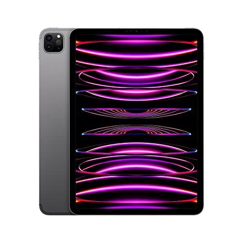 Apple 2022 iPad Pro 11" (Wi-Fi + Cellular, 256GB) Grigio siderale (4ª generazione)