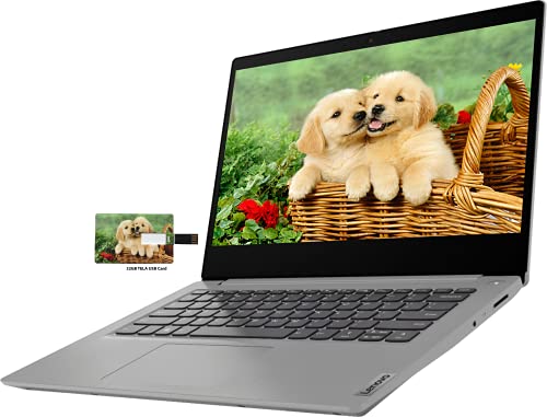 Lenovo IdeaPad 3 14 Business Laptop, processore Intel Pentium Silver N5030, display HD da 14 pollici, 4 GB di RAM, 128 GB SSD, Wi-Fi, webcam, HDMI, Windows 10 Home   Scheda USB in tessuto da 32 GB