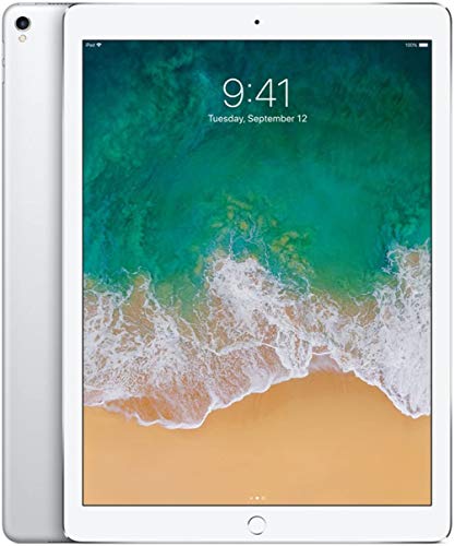 Apple iPad Pro 12.9 (2nd Gen) 64GB Wi-Fi Argento (Ricondizionato)