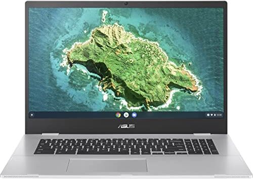 Asus Chromebook CX1700CKA-BX0079 Portátil 17.3" HD+ (Celeron N4500, 8GB RAM, 64GB eMMC, UHD Graphics, Chrome OS) Plata Transparente Teclado QWERT