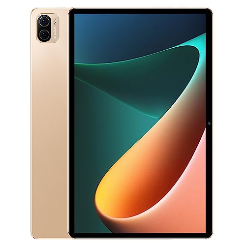 docooler Tablet 8 GB + 256 GB Schermo da 10,1 pollici Chiamate 5G Processore 10-Core MT6797 Memoria espandibile da 128 GB Ampia capacità di archiviazione 1960 * 1080 Schermo grande ad alta nitidezza