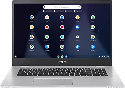 Asus Chromebook da 17,3" Memoria Intel Celeron N4500-4GB 32GB eMMC Argento trasparente