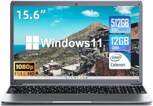 SGIN Laptop 15.6" 12GB RAM 512GB SSD Windows 11 Notebook Celeron N5095 Up to 2.8GHz 1920x1080 2.4/5.0G WLAN Bluetooth 4.2 Memoria espandibile 512GB TF