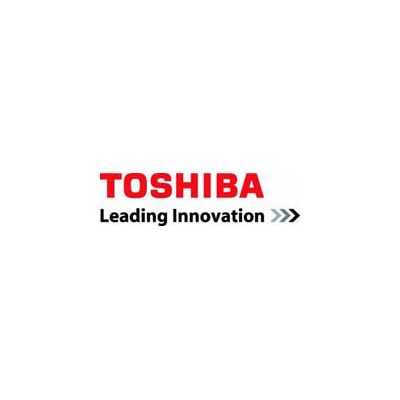 Toshiba 6LJ04811200 Toner Originale Ciano per E-STUDIO 2040 Capacità 80000 Pagine Toshiba 6LJ04811200 Toner Originale Ciano per E-STUDIO 2040 Capacità 80000 Pagine