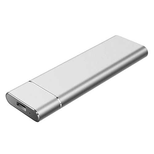 xnvdojt n/a Disco rigido esterno SSD USB 3.1 Tipo C 500 GB 1 TB 2 TB Disco esterno portatile a stato solido (Color : Silver, Size : 2TB)