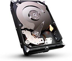 Seagate costellazione ES ST3500514NS 8,89 cm 500 GB per Hard disk SATA (3 GB/S, 32MB Cache)