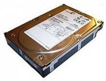 Seagate Disco rigido Cheetah 300 GB 8,9 cm (3,5") ULTRA320 SCSI 8 MB 10000RPM