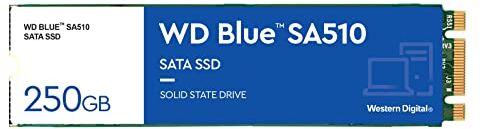 Western Digital Blue SA510 250 GB M.2 SATA SSD con velocità di lettura fino a 555 MB/s