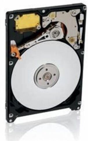 Western Digital Disco rigido EIDE da 80 GB da 2,5" (WD800BEVESP)