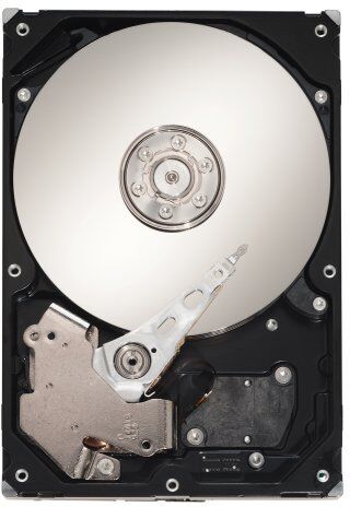 Seagate Cheetah 15K.6 ST3450856SS Hard disk interno, 450 GB, 3,5", SAS 15000 rpm, buffer: 16 MB