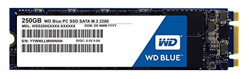 Western Digital Blue M.2 250GB Unità allo Stato Solido SSD Interna SATA 6Gb/s 2.5" S250G1B0B