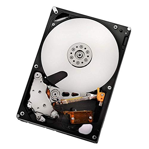 Western Digital HGST Ultrastar A7K2000 2TB HDD 2000GB Serial ATA II internal hard drive Internal Hard Drives (3.5", 2000 GB, 7200 RPM, Serial ATA II, 32 MB, HDD) (Ricondizionato)