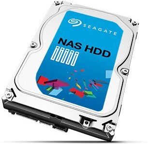 Seagate ST1000VN000 HDD Interno da 3.5", Nero