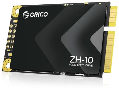 ORICO 256 GB mSATA SSD SATA III,Unità Interna Allo Stato Solido 3D NAND per Computer Portatili Ultrabook Desktop-ZH10