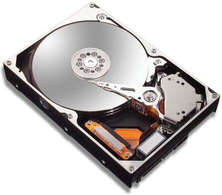 Maxtor 6L250R0 DiamondMax 10 Hard Drive interno 250 GB ATA bulk (IDE) 16MB Cache