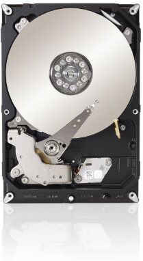 Seagate ST4000NC001 HDD, 4000GB, Nero