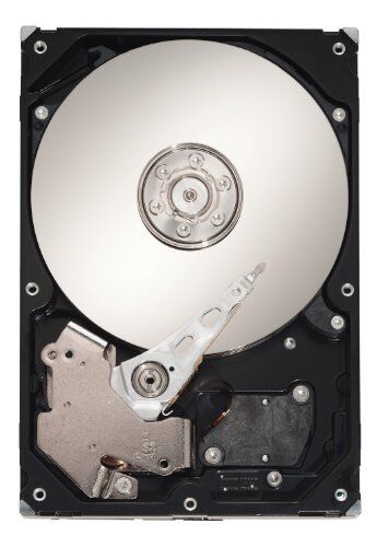 Seagate Constellation ES ST31000524NS Hard disk interno da 1 TB, 8,9 cm, 7200 rpm, tempo di accesso 8,5 ms, cache 32 MB