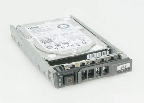 Dell 900 GB SAS 10000RPM – Disco rigido – Serial Attached SCSI (SAS), 900 GB, 2,5") (rinnovato)