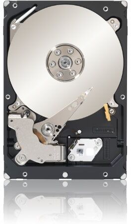 Seagate ST33000650NS Constellation ES.2 HardDisk