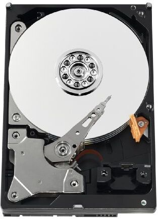 Western Digital interno WD10EVVS 1000 GB