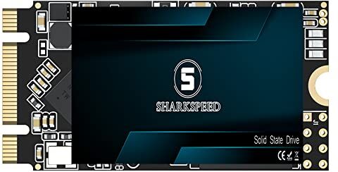 S SHARKSPEED SSD 256GB M.2 2242 42mm NGFF SHARKSPEED 3D NAND SATA 3 (6Gb/s), Unità a Stato Solido Interno per Laptop, Computer Desktop/PC (256GB, M.2 2242)