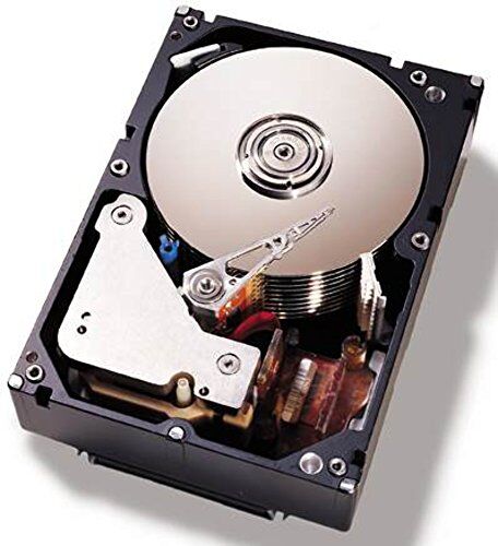 IBM 81Y9786 Disco rigido interno 500 GB (3,5"), 7200 rpm, SATA