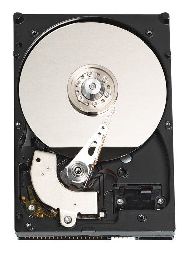 Western Digital 320 GB IDE Hard Disk Drive WD3200JB