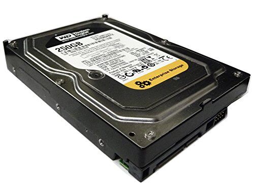 Western Digital RE4 250 GB Enterprise hard drive: 8,9 cm, 7200 rpm, SATA II, 64 MB Cache – WD2503ABYX (Certified Refurbished)
