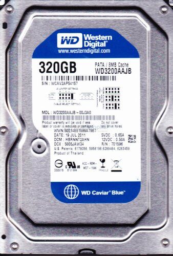 Western Digital WD Caviar Blue 320 GB