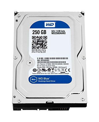 Western Digital 2500AAKX Blu Hard Disk Desktop da 250 GB, 7200 RPM, SATA 6 GB/s, 16 MB Cache, 3.5