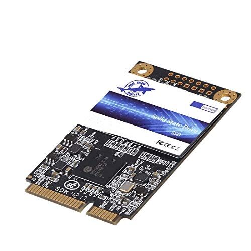 THREE COLOUR DOGFISH Dogfish Msata SSD 250GB Internal Solid State Drive Mini Sata SSD Disk (MSATA 250GB)