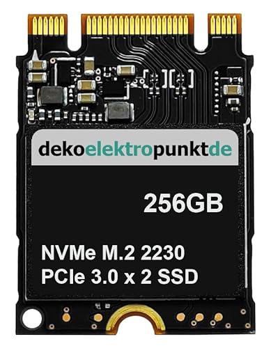 dekoelektropunktde 256GB (B+M Key) SSD M.2 2230 NVMe PCIe 3.0 x 2 adatta per Surface Pro 9, Surface Pro 8 (ricambio alternativo)