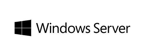 Fujitsu Windows Server 2019 CAL