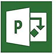 Microsoft Project Professional 2019 1 Licenza/e Tedesca