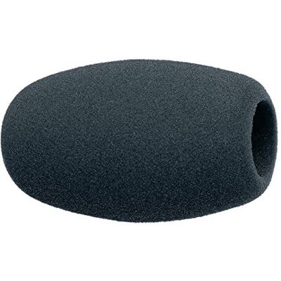 Sennheiser Protezione antivento in spugna MZW 1 per microfoni a mano Sennheiser Protezione antivento in spugna MZW 1 per microfoni a mano