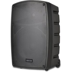 FARFISA Cassa Acustica Wireless Trolley da 100W con 2 Microfoni Senza Filo, 40x60x36 cm FARFISA Cassa Acustica Wireless Trolley da 100W con 2 Microfoni Senza Filo, 40x60x36 cm