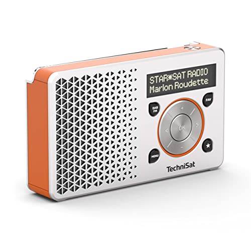 TechniSat DIGITRADIO 1 Radio DAB+ portatile con batteria ricaricabile (DAB, VHF, Altoparlante, Ingresso per cuffie, Memoria preferiti, Display OLED, Compatta, 1 Watt RMS), Argento/Arancione